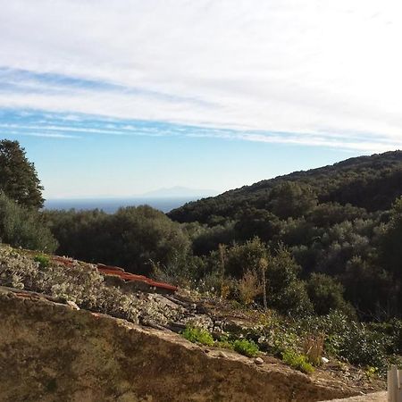 Villa Maison Dans Le Cap Corse Tomino Exterior foto